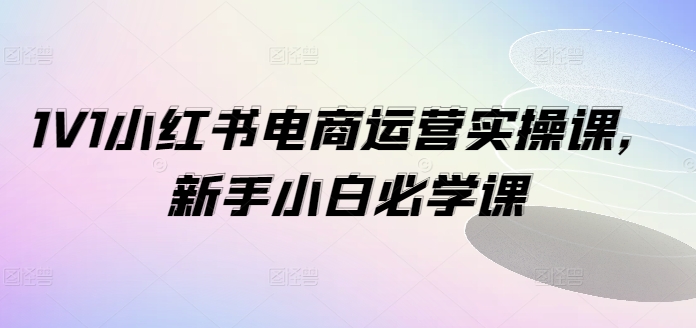 1V1小红书电商运营实操课，新手小白必学课-网创星球