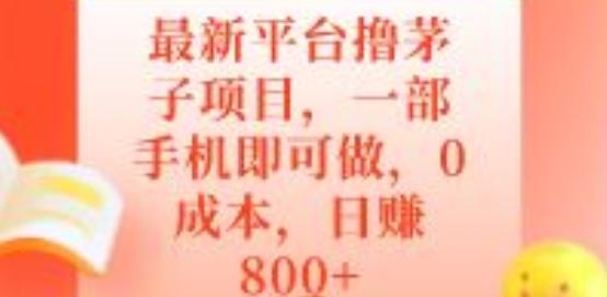 最新平台撸茅子项目，一部手机即可做，0成本，日赚800+-网创星球