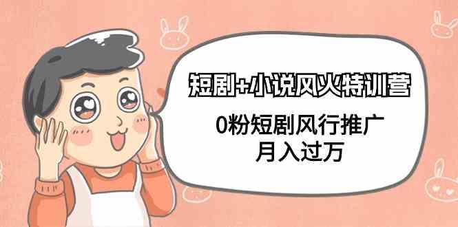 小说+短剧风火特训营，0粉短剧小说风行推广，实现月入过万-网创星球